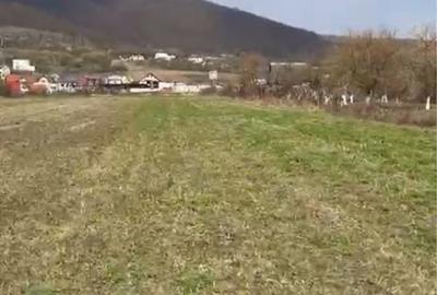 Spațiu comercial, în Viișoara - 4