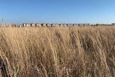 Lot 409 mp - posibilitate 818 mp- Otopeni Ferme Lot 409 mp - posibilitate 818 mp- Otopeni Ferme - 4