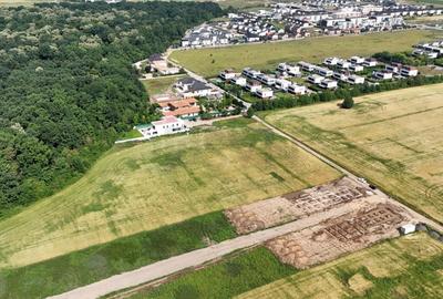 Teren l in proximitatea Amber Forest Teren l in proximitatea Amber Forest - 4