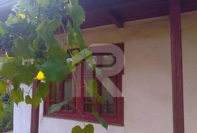 Casă cu 2 camere cu Teren 670 Mp în Lipia - 4