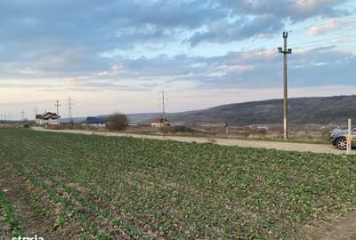 Teren de 508 mp, în Valea Lupului - 8