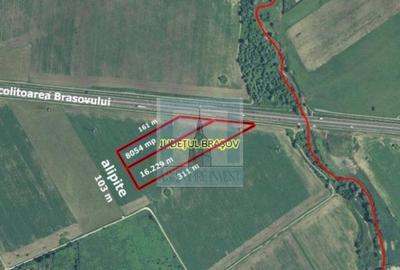 Teren intravilan 2,4 Ha - zona Tractorul (Rulmentul) - 2