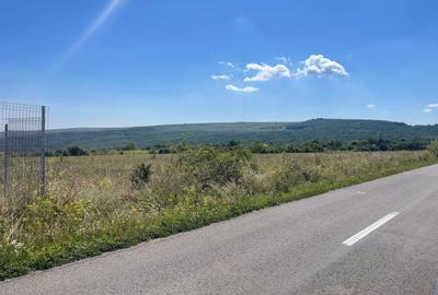 Teren Construcții intravilan de 27000 mp, în Feiurdeni - 2