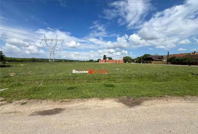 Teren de 5341 mp, în Marghita - 1