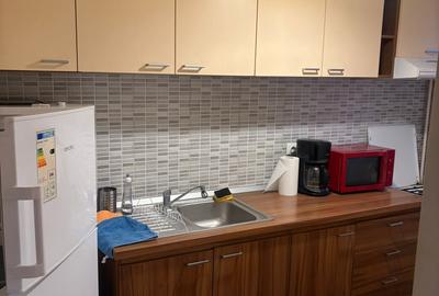 Apartament 2 camere Pacurari - Concept - 3