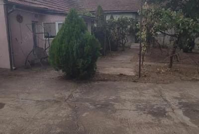 Casă cu 3 camere în Sculia - 5