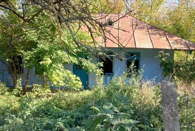 Casă cu 3 camere în Rebricea