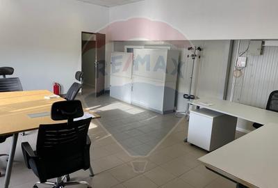 Spațiu industrial, de 615 mp, în Ștefăneștii de Jos - 9