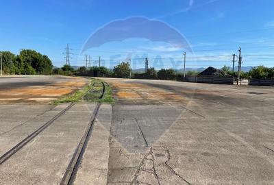 Spatiu industrial 1944mp hala,650mp birouri, platforma betonata 11000m - 25
