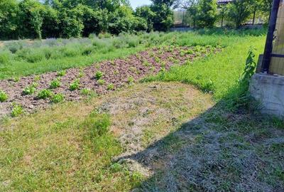 Spațiu comercial, în Nord - 7