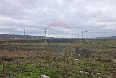 Teren de 41025 mp, în Periferie - 5