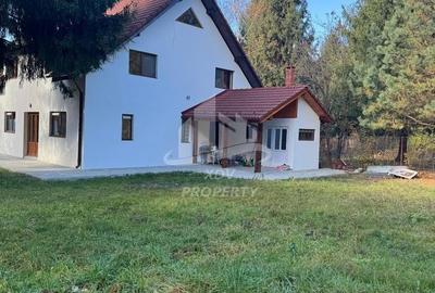 Pensiune/ Vila Valea Avrigului - 4