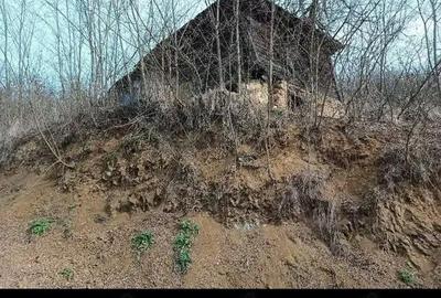 Casă cu 2 camere cu Teren 21000 Mp în Boiu - 4