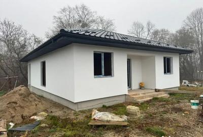 Casă cu 3 camere cu Teren 450 Mp în Satu Nou de Jos - 2