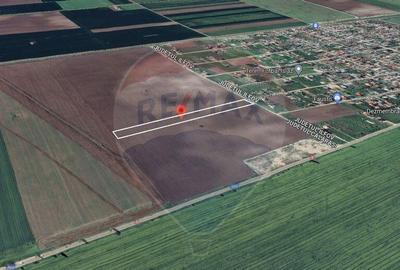 Teren Belciugatele, limita Branesti | DN 3 - 5