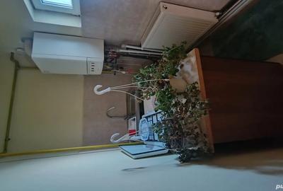 Vind casa la intrarea Smeura - 10