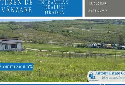 Teren de 850 mp, în Săldăbagiu de Munte - 3