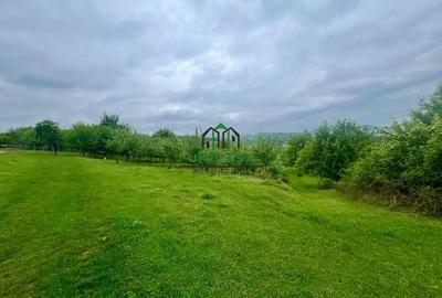 Teren 3507 mp/ Seaca/Calimanesti - 1