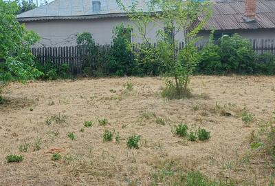 Teren de 3093 mp, în Bolintin-Deal