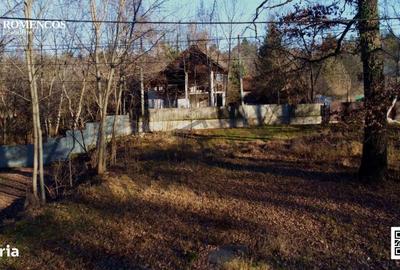 Casă cu 3 camere în Mihăești - 6