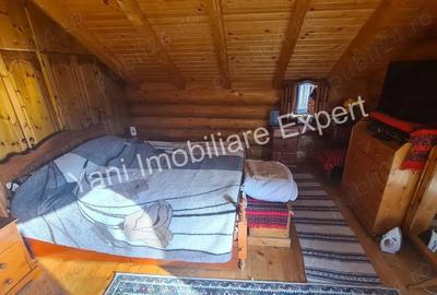 Casa de vacan?a de vanzare pe Valea Valsanului, in comuna Bradule?, sat Bradetu, jude? Arge?. - 9