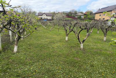 Spațiu comercial, în Holboca - 2