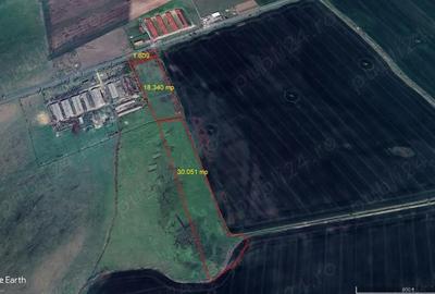 Teren de 50000 mp, în Horia - 8