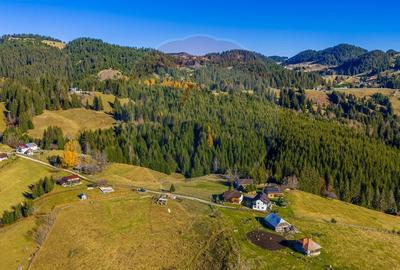 Teren Construcții intravilan de 13800 mp, în Fundățica - 13