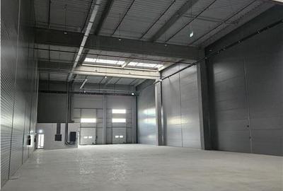 Spatii Industriale - 4500 mp - Logistica - Productie - Depozitare