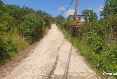 Teren de vanzare, 2864 mp, Dambul Rotund - 3