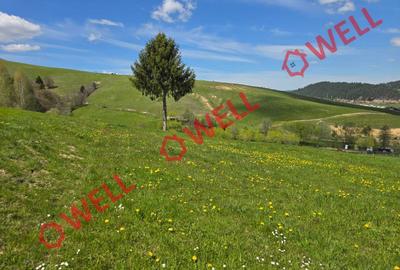 Teren extravilan de 8157 mp, în Sita Buzăului - 4