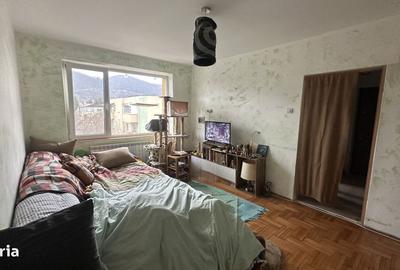 Apartament cu 2 camere în Săsar - 5