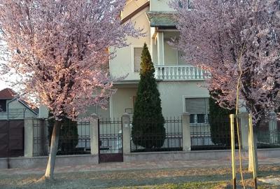 Casa solida, spa?ioasa ?i versatila in zona centrala, Sannicolau Mare - 7