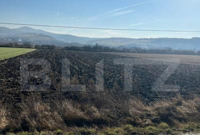 Teren extravilan, drumul principal, utilita?, Budacul de J - 1