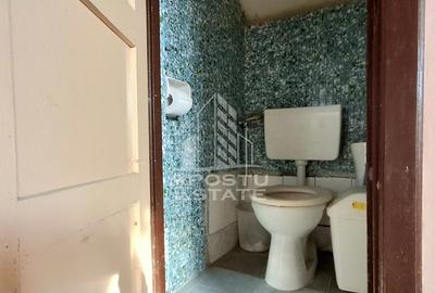 Casa Spatioasa cu Teren Generos in Vladimirescu - 26