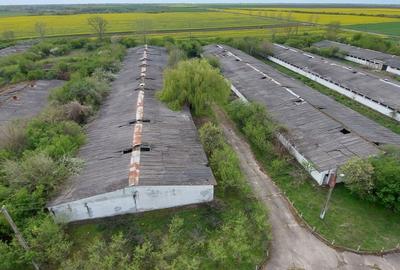 Vand Fost Complex de porci - 3