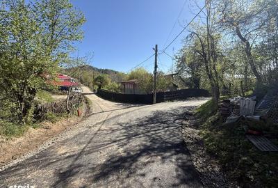 Spațiu comercial, în Valea Târsei - 5