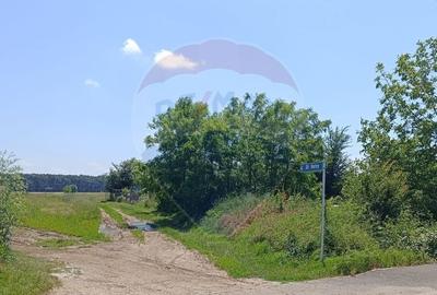 Teren 2,000mp Snagov / Strada Milcov - 5