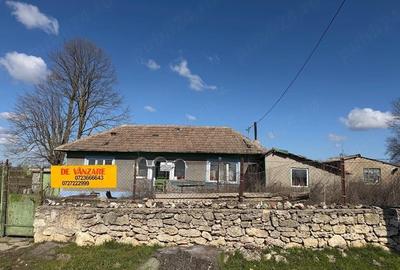 Casă cu Teren 2142 Mp în Olteni - 8