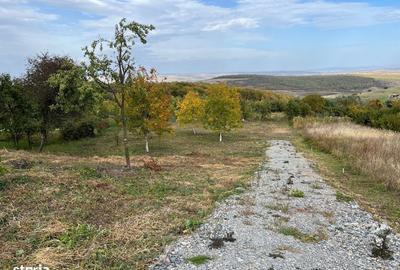 Spațiu comercial, în Gheorghieni - 6