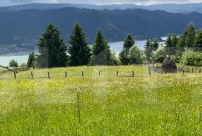 Teren Intravilan Colibita 1346mp cu Panorama asupra lacului - 2