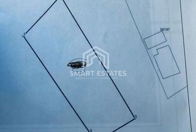 Spațiu comercial, în Șanțu-Florești - 10