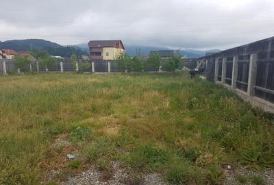 Teren Sacele-Lefrumarin Teren Sacele-Lefrumarin - 1