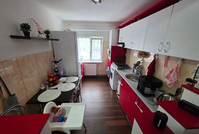 Apartament cu 2 camere decomandat, mobilat în Șagului