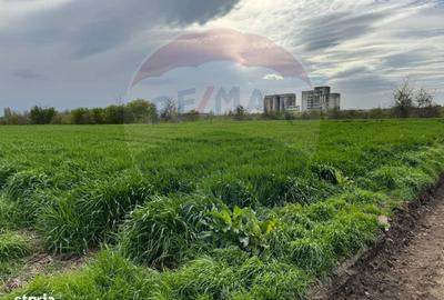 Spațiu comercial, în Remuș - 6