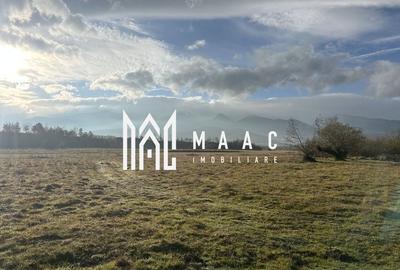 Teren cu potențial turistic I Cârțișoara I 3000 MP - 3