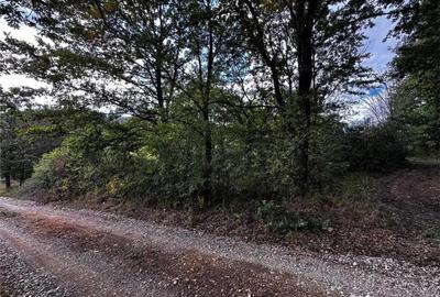 Teren în Vadu Crișului - 3