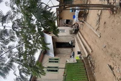 Casă cu 3 camere în Băneasa - 5