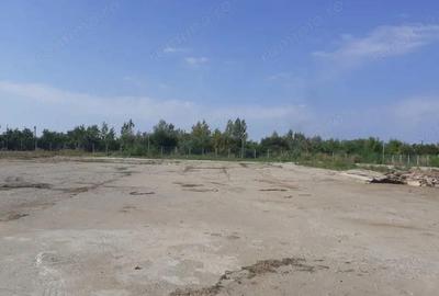 Inchiriere cladire comerciala 590 mp si teren 5158 mp Targoviste - 10