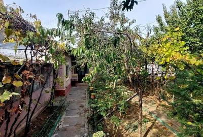 Proprietar casa individuala Bucurestii Noi-Aeromodelului- FARA AGENTII - 5